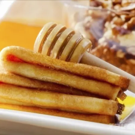 ホテル Kralev Dvor バンスコ