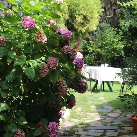 Kralev Dvor バンスコ